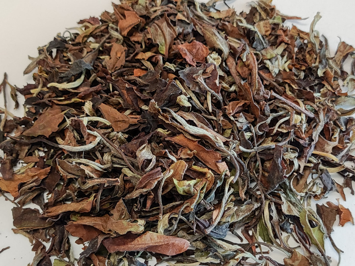 Aged Bai Mu Dan White Tea