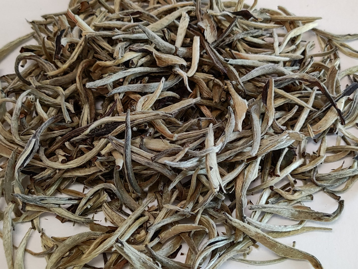 Superfine Silver Needle White Tea